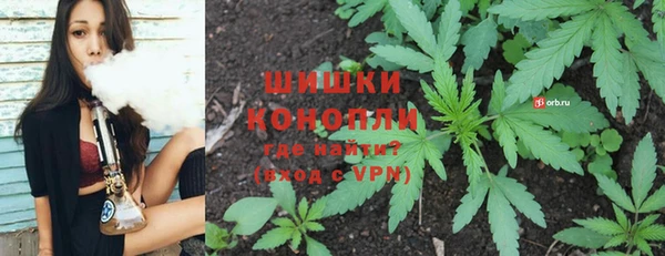 метадон Белокуриха